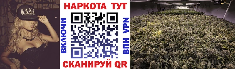 Магазины продажи наркотиков Сосновка АМФ  A PVP  МДМА  Мефедрон  Каннабис  ГАШИШ 