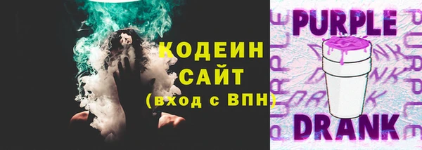 хмурый Корсаков