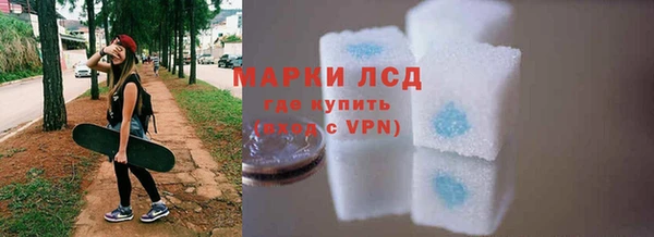 хмурый Корсаков