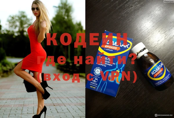 индика Кодинск