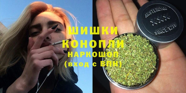 молекула духа Киреевск