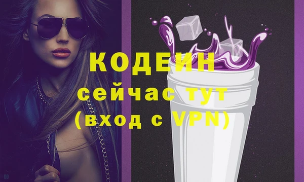 хмурый Корсаков