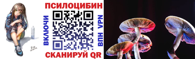Псилоцибиновые грибы Cubensis  Сосновка 
